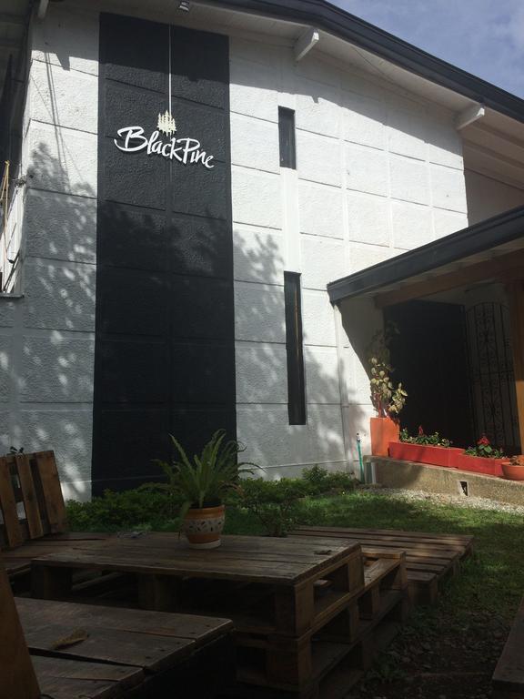 Blackpine Hostel Medellín Exterior foto