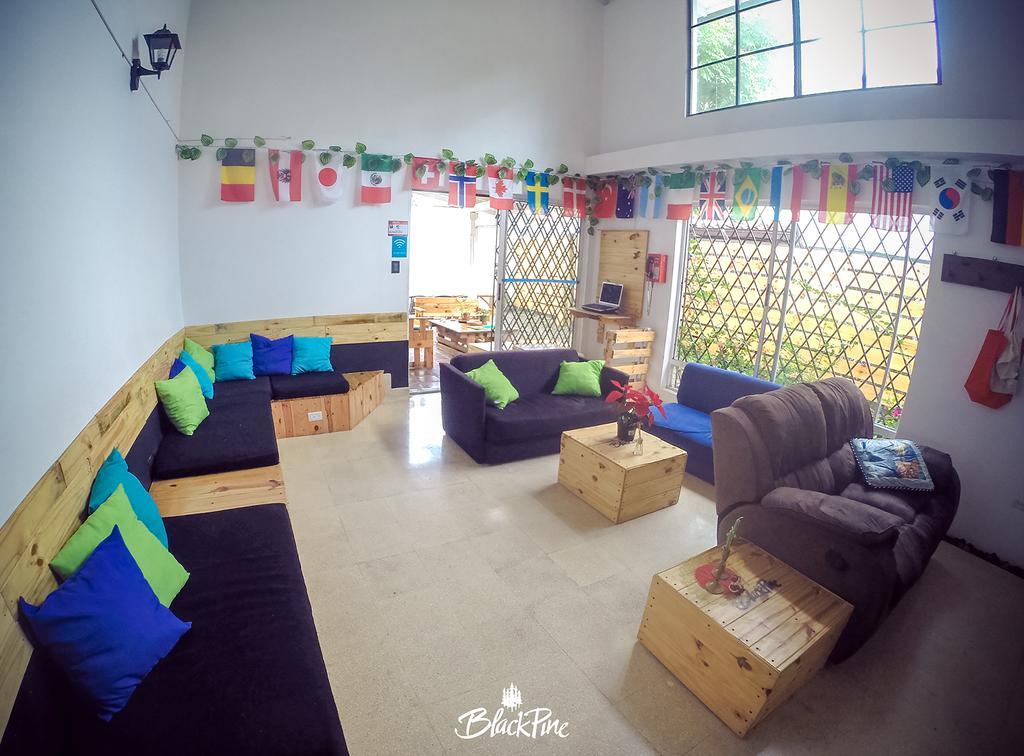 Blackpine Hostel Medellín Exterior foto